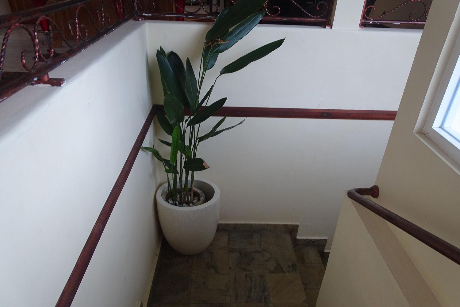 Villa Ebel Lovina  Ngoại thất bức ảnh